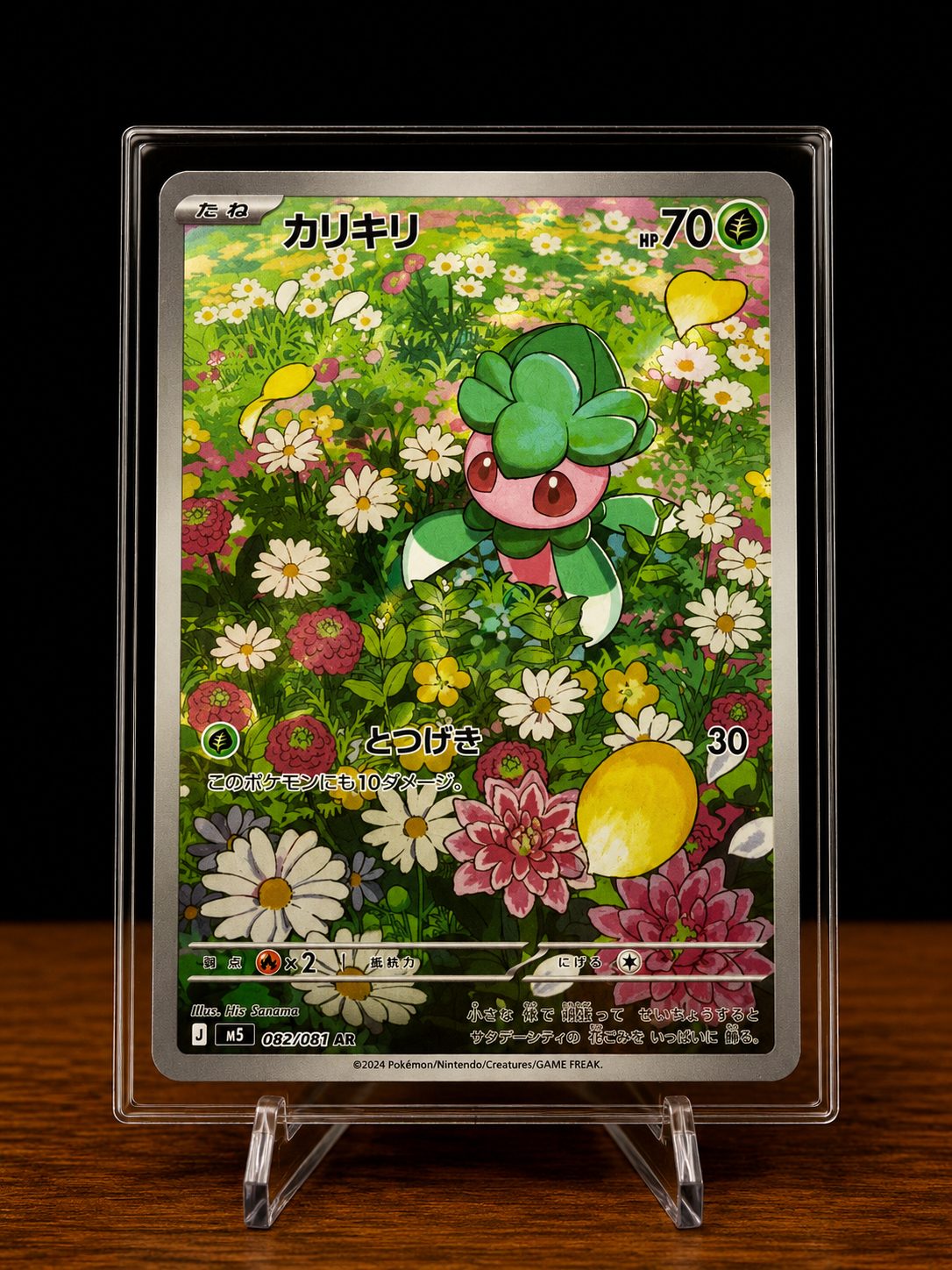 カリキリ