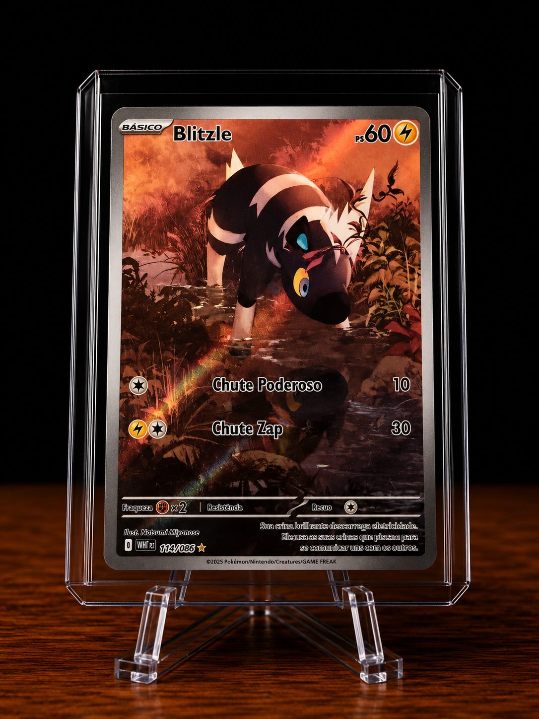 Frente da carta Blitzle