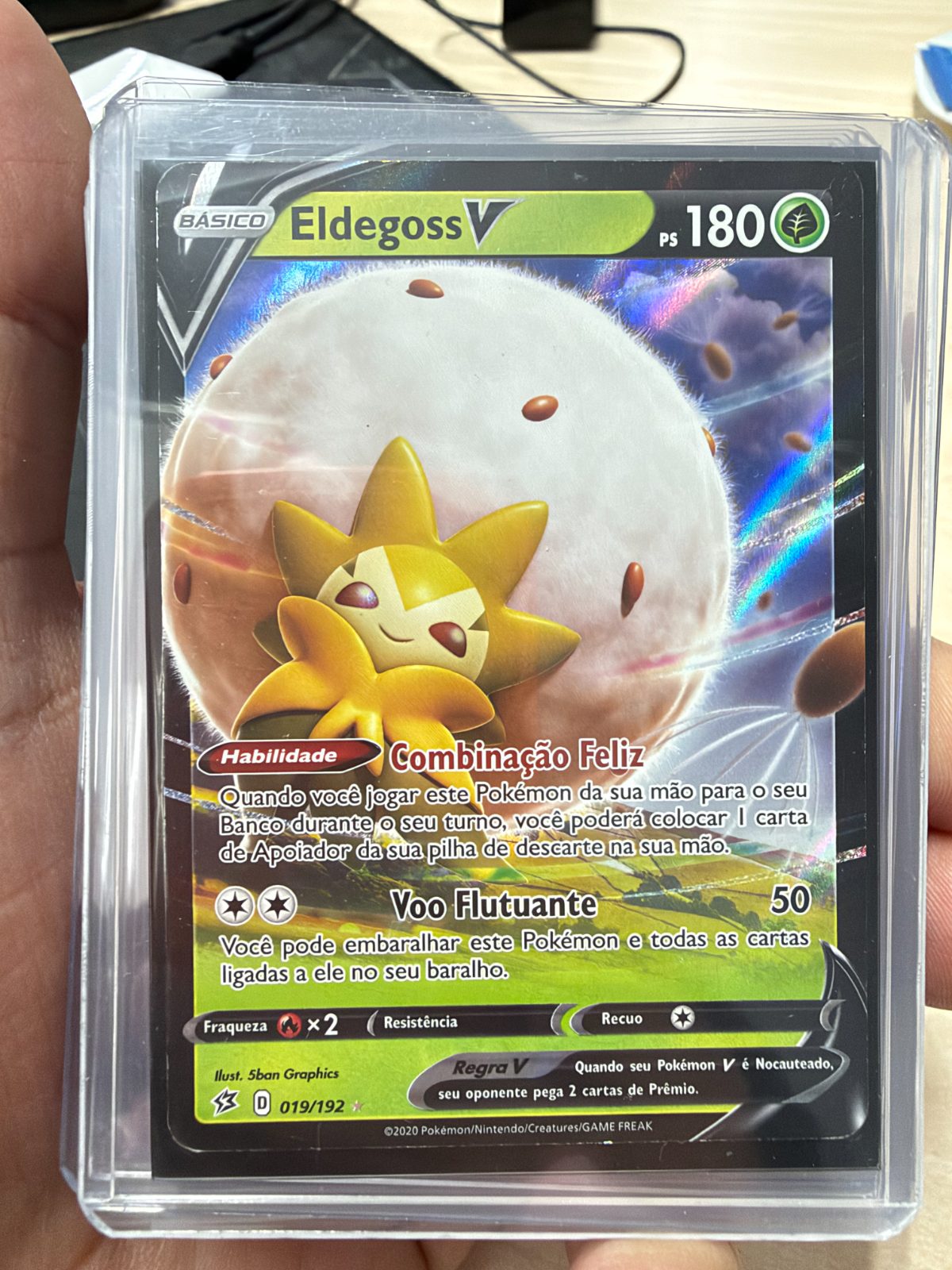 Frente da carta Eldegoss V