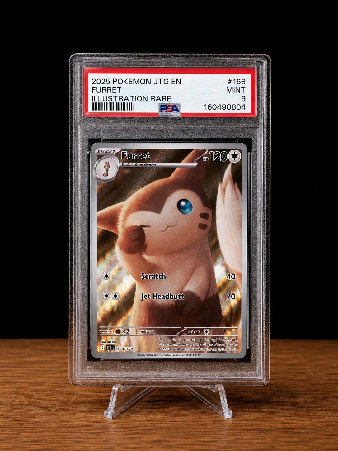 Furret