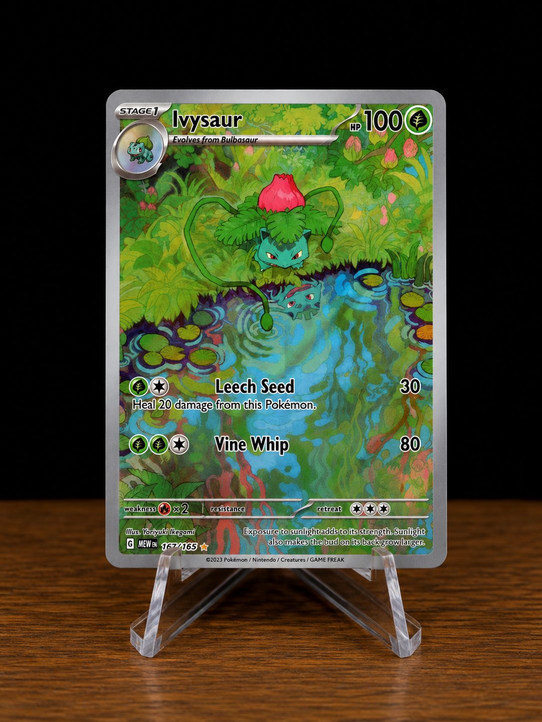 Frente da carta Ivysaur