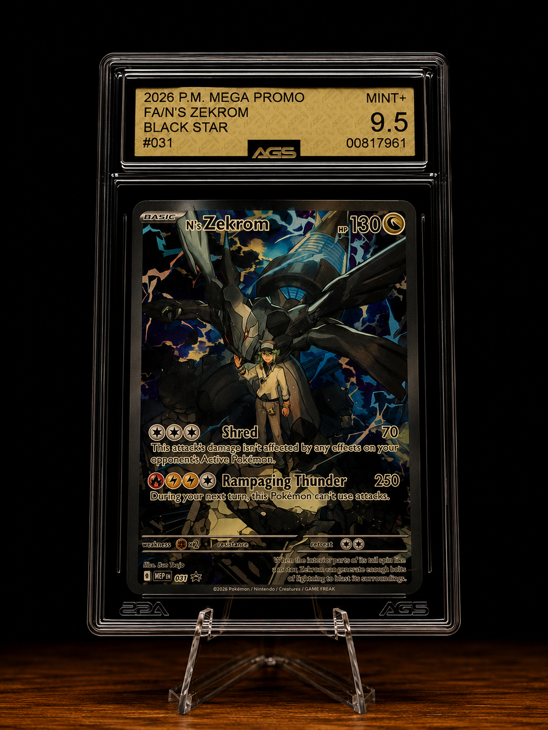 N's Zekrom