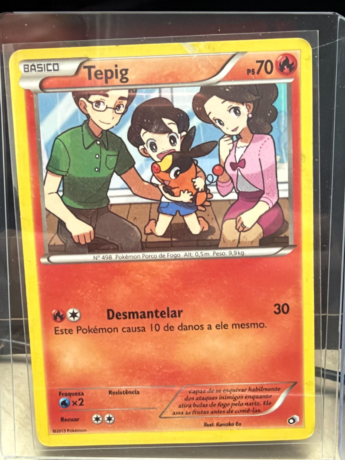 Tepig
