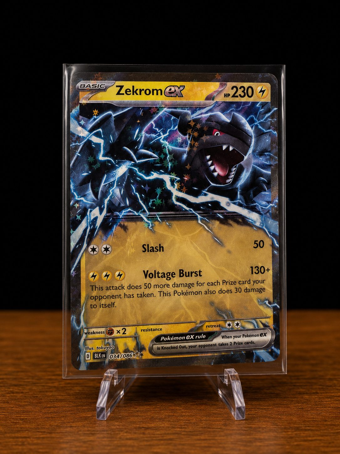 Zekrom ex